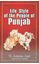 Picture of Life Style of The People Of Punjab  (During 1849 To 1925 AD)