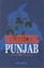 Picture of Resurrecting Punjab (A Journo’s Journey)