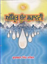 Picture of Amrit Boond Suhawani Part – 1 